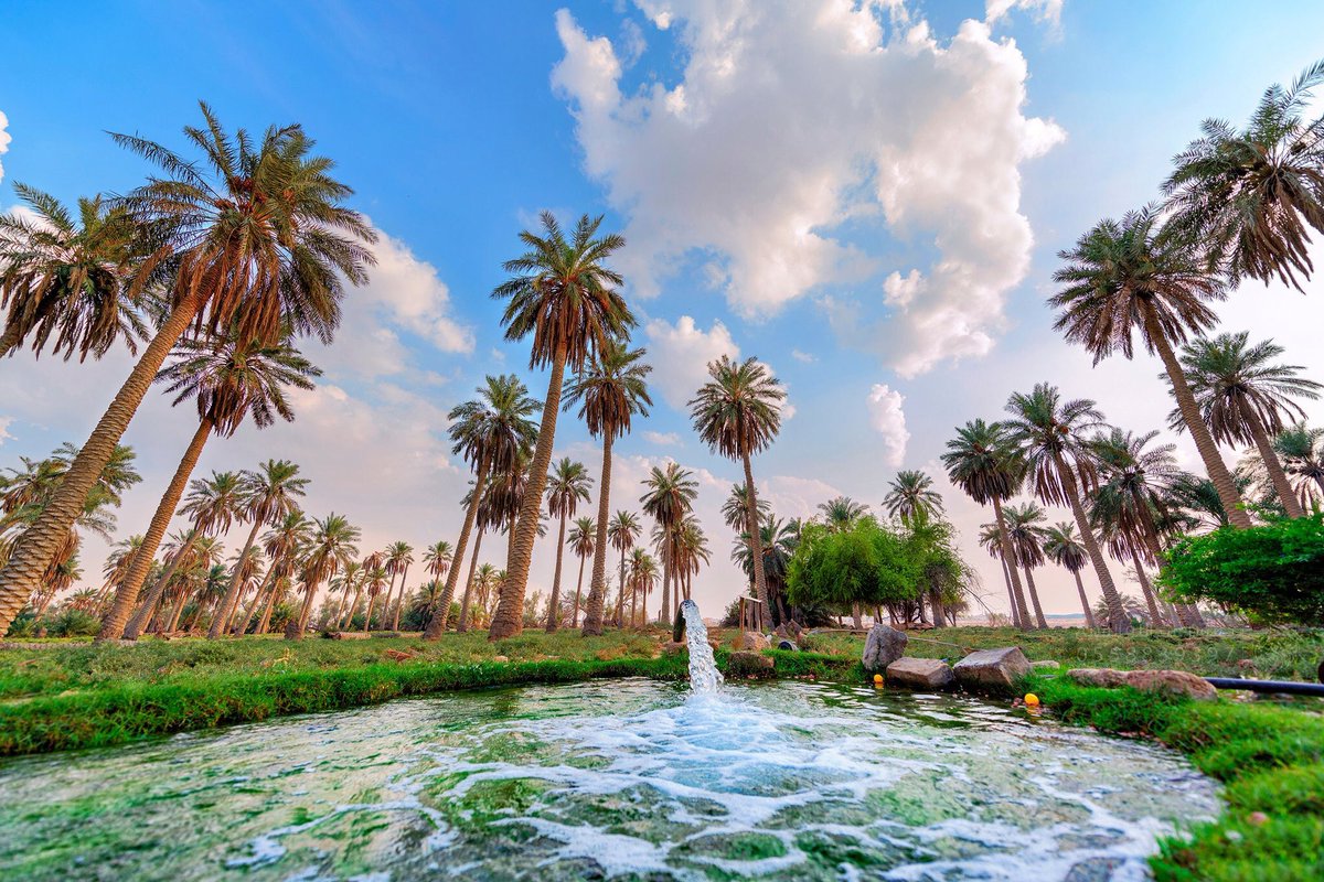 ما هو اسم أكبر واحة داخل السعودية ؟