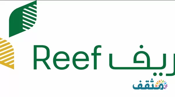 رابط منصة ريف تسجيل دخول ريف reef login
